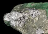 Beryl (Var: Emerald) Crystal in Schist & Graphite - Bahia, Brazil #44127-3